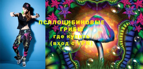 тгк Алзамай