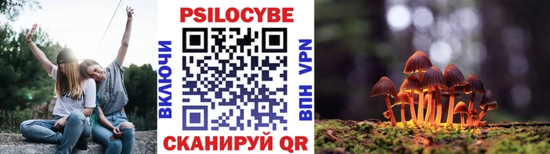 Псилоцибиновые грибы GOLDEN TEACHER  даркнет клад  Новоуральск  MEGA ONION 